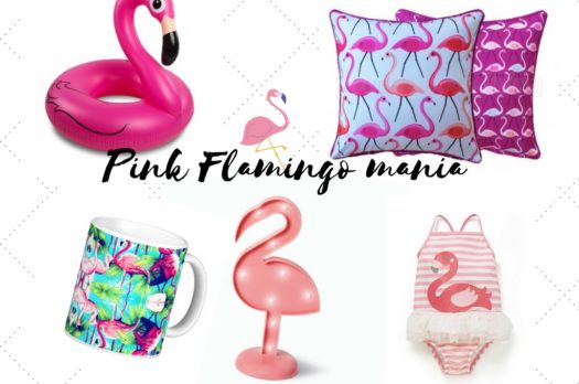 Pink Flamingo, il trend dell’estate