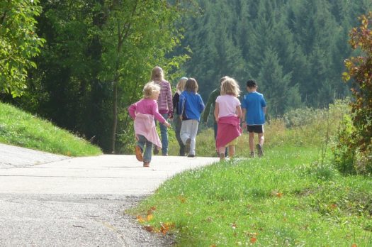 Cronaca di una gita scolastica. La raccolta delle castagne