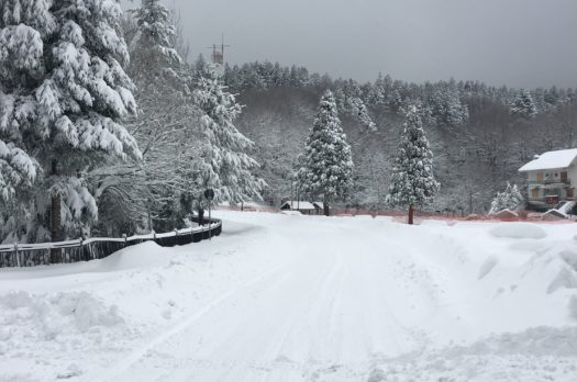 Gambarie d’Aspromonte, cosa vedere e dove andare se si viaggia con bambini