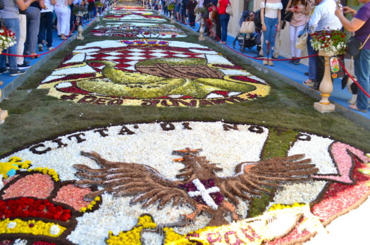 L’Infiorata di Noto 2017, fiori e colori dedicati al Principato di Monaco